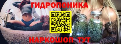 кокс Пушкино