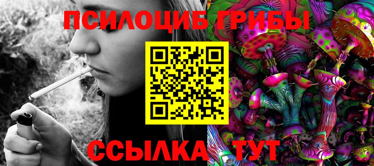 Россия  Псилоцибиновые грибы Psilocybine cubensis  Галлюциногенные грибы GOLDEN TEACHER  Вход с VPN 