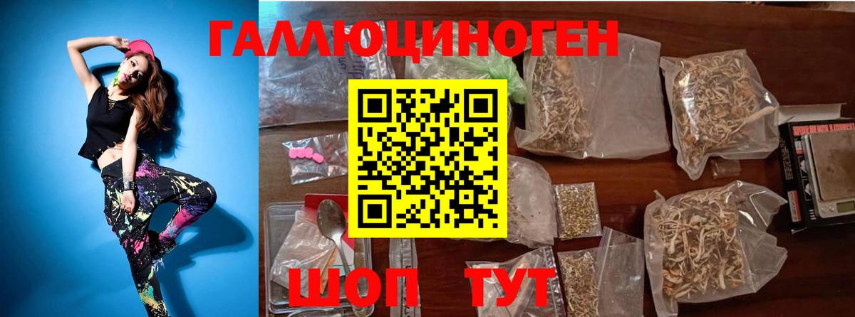 Псилоцибиновые грибы Psilocybine cubensis Россия
