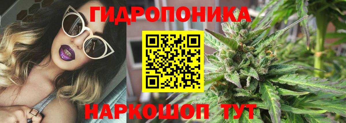 Конопля VHQ  Вход с VPN  Канабис марихуана  Каннабис марихуана  Марихуана SATIVA & INDICA  Россия 